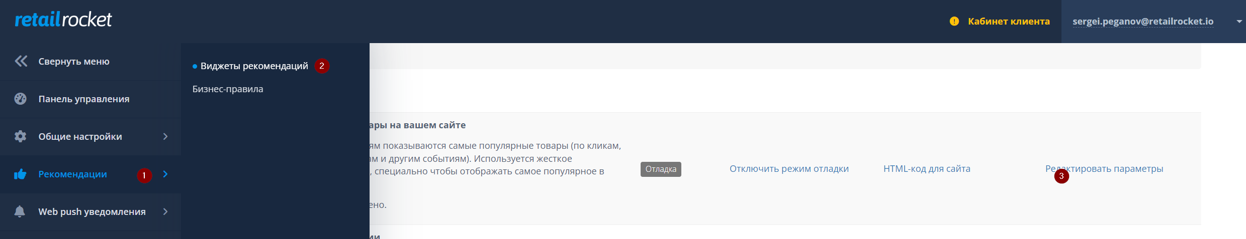 Retail Rocket Recommendation Widgets